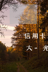 信用卡逾期協(xié)商分期停息掛賬光大-光大逾期協(xié)商還款