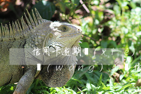 信用卡逾期協(xié)商分期口頭承諾嗎(網(wǎng)上說信用卡逾期有人可以幫忙協(xié)商)