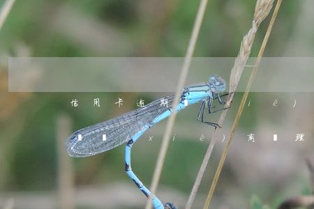 信用卡逾期協(xié)商分期怎么辦(找律師協(xié)商辦理信用卡逾期分期有用嗎)