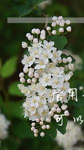 信用卡逾期協(xié)商分期成功后利息可以減免嗎-信用卡 協(xié)商分期
