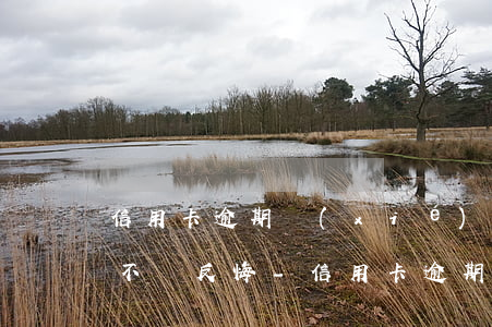 信用卡逾期協(xié)商分期成功銀行會不會反悔-信用卡逾期協(xié)商分期成功銀行會不會反悔呢