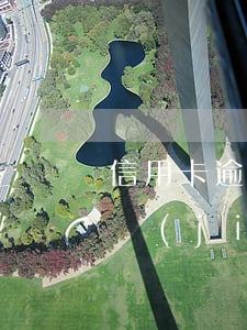 信用卡逾期協(xié)商分期還款卡被凍結(jié)-信用卡逾期協(xié)商分期還款卡被凍結(jié)怎么辦