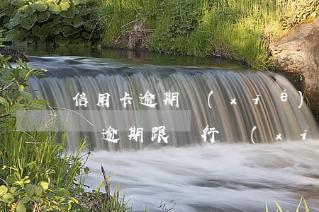 信用卡逾期協(xié)商分期還款的申請書(逾期跟銀行協(xié)商分期還款申請書)