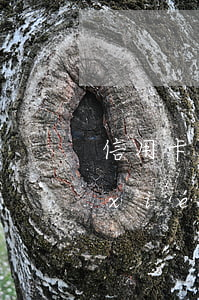 信用卡逾期協(xié)商只管本金有協(xié)議嗎
