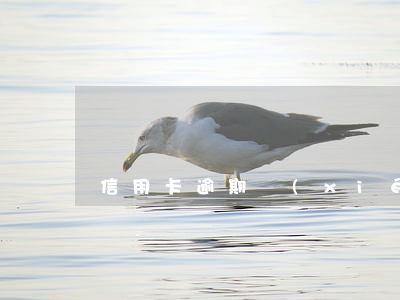 信用卡逾期協(xié)商只還本金