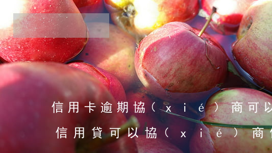 信用卡逾期協(xié)商可以停息掛賬嗎(信用貸可以協(xié)商停息掛賬嗎)