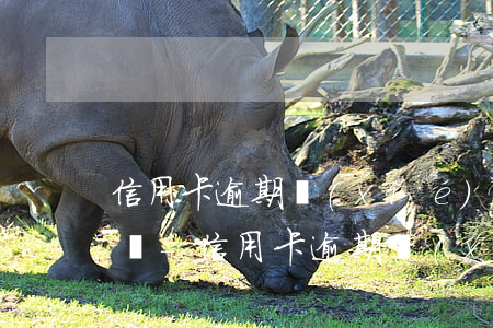 信用卡逾期協(xié)商后再次逾期怎么辦-信用卡逾期協(xié)商后再次逾期怎么辦呢