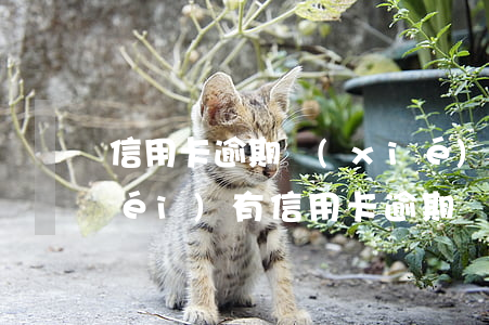 信用卡逾期協(xié)商好不好(有沒(méi)有信用卡逾期協(xié)商還本金成功了的)