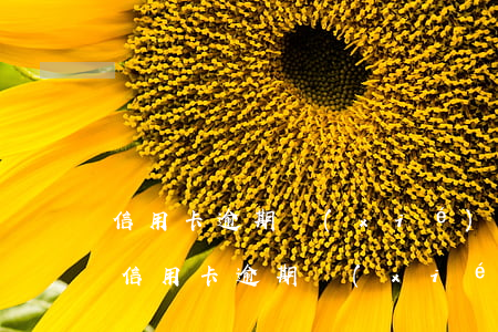 信用卡逾期協(xié)商好分期又逾期了（信用卡逾期協(xié)商好分期又逾期了）