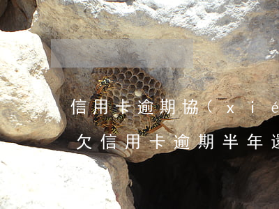 信用卡逾期協(xié)商好后還能刷卡嗎(欠信用卡逾期半年還能不能協(xié)商)
