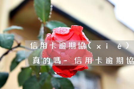 信用卡逾期協(xié)商少還6000是真的嗎-信用卡逾期協(xié)商少還6000是真的嗎還是假的