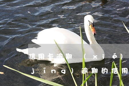 信用卡逾期協(xié)商少還本金(已經(jīng)逾期的信用卡,該如何與銀行協(xié)商暫緩還款)
