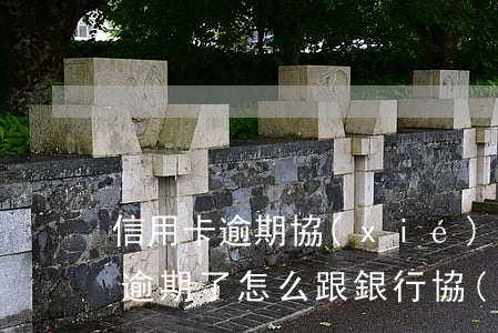 信用卡逾期協(xié)商怎么申請(信用卡逾期了怎么跟銀行協(xié)商解決)