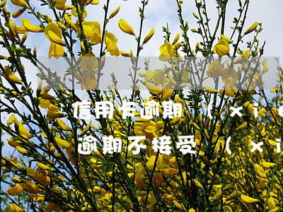 信用卡逾期協(xié)商怎么辦理(信用卡逾期不接受協(xié)商怎么辦)