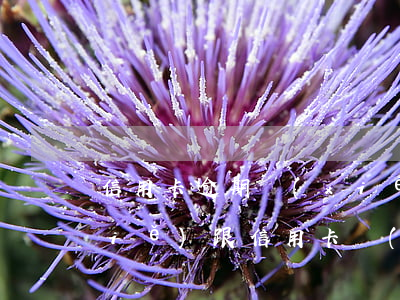 信用卡逾期協(xié)商情況怎么寫(xiě)(跟信用卡協(xié)商成功后又逾期了)