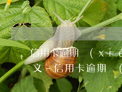 信用卡逾期協(xié)商情況說明模板范文-信用卡逾期協(xié)商情況說明模板范文圖片