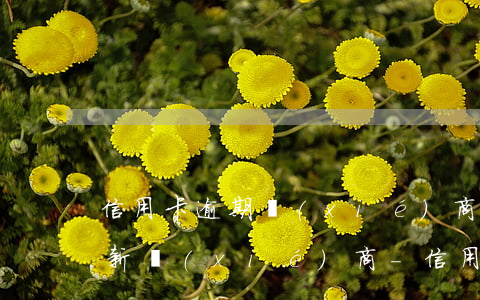 信用卡逾期協(xié)商成功可以推翻重新協(xié)商-信用卡逾期協(xié)商成功可以推翻重新協(xié)商嗎