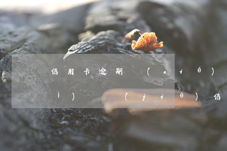 信用卡逾期協(xié)商成功后會(huì)凍結(jié)(信用卡逾期協(xié)商成功后會(huì)凍結(jié)嗎)