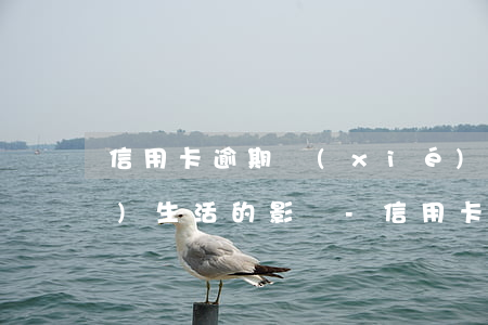 信用卡逾期協(xié)商成功對(duì)生活的影響-信用卡逾期協(xié)商成功對(duì)生活的影響大嗎