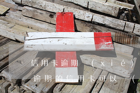 信用卡逾期協(xié)商成功的有嗎(沒有逾期的信用卡可以協(xié)商還款嗎)