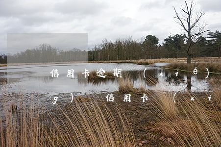 信用卡逾期協(xié)商成功經(jīng)歷(信用卡協(xié)商成功后又逾期了)
