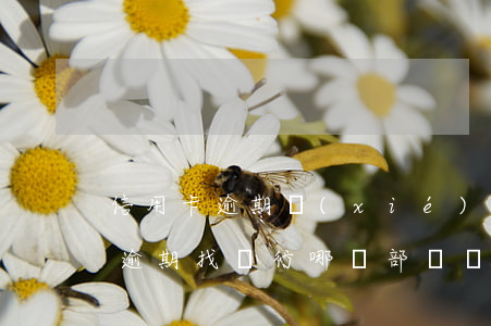信用卡逾期協(xié)商找銀行嗎(信用卡逾期找銀行哪個部門協(xié)商)