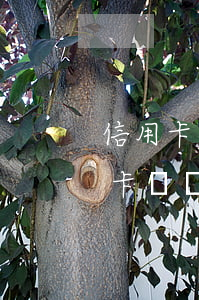 信用卡逾期協(xié)商投訴(與銀行信用卡糾紛怎么投訴)