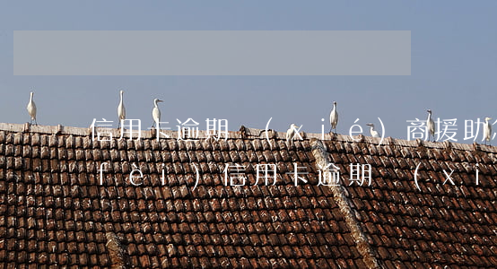 信用卡逾期協(xié)商援助怎么收費(fèi)(信用卡逾期協(xié)商援助怎么收費(fèi)的)