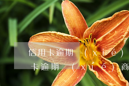 信用卡逾期協(xié)商文本(哈爾濱信用卡逾期協(xié)商還款)