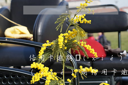信用卡逾期協(xié)商是騙子(找律師協(xié)商信用卡逾期)