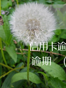 信用卡逾期協(xié)商最新政策(信用卡逾期協(xié)商最新政策)