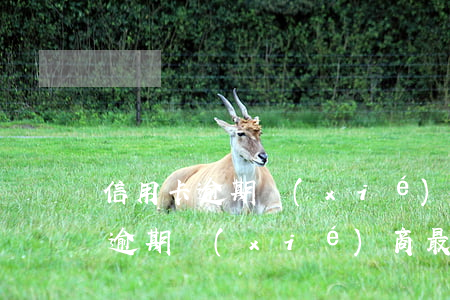 信用卡逾期協(xié)商最長時間(信用卡逾期協(xié)商最長時間)