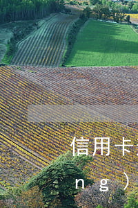 信用卡逾期協(xié)商有效嗎(網(wǎng)絡(luò)上信用卡逾期協(xié)商是真的嗎)