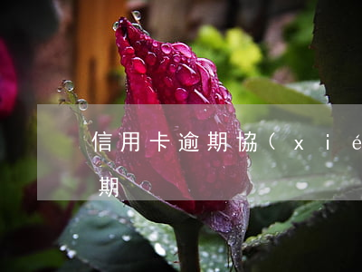 信用卡逾期協(xié)商的時期(“信用卡逾期”)