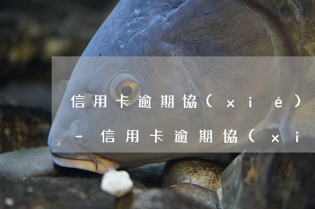 信用卡逾期協(xié)商的都是第三方嗎-信用卡逾期協(xié)商的都是第三方嗎知乎
