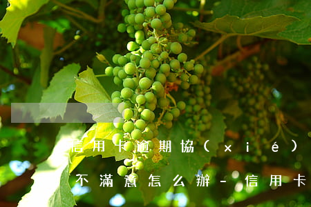 信用卡逾期協(xié)商結(jié)果不滿意怎么辦-信用卡逾期協(xié)商結(jié)果不滿意怎么辦呢