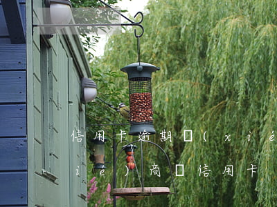信用卡逾期協(xié)商結清了-協(xié)商還信用卡
