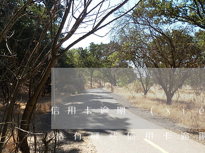 信用卡逾期協(xié)商網(wǎng)站有哪些（信用卡逾期協(xié)商網(wǎng)站）