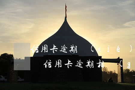 信用卡逾期協(xié)商術(shù)語(與信用卡逾期相關(guān)的法律法規(guī))