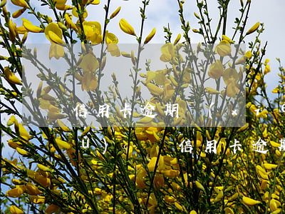 信用卡逾期協(xié)商要分期手續(xù)費嗎(信用卡逾期協(xié)商要分期手續(xù)費嗎)
