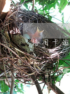 信用卡逾期協(xié)商要病例咋辦