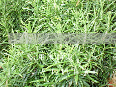 信用卡逾期協(xié)商要遞交什么資料呢-信用卡逾期協(xié)商要遞交什么資料呢怎么寫