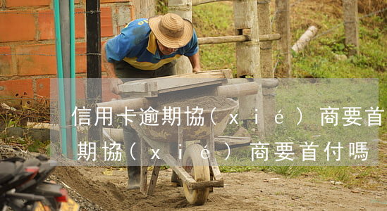 信用卡逾期協(xié)商要首付(信用卡逾期協(xié)商要首付嗎)