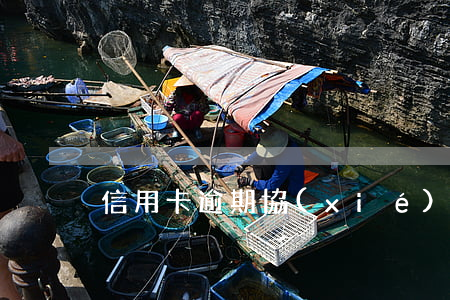信用卡逾期協(xié)商解決申請怎么寫