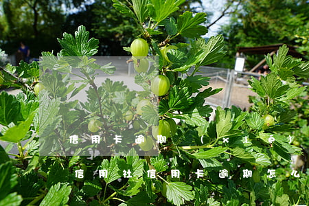 信用卡逾期協(xié)商話術(shù)(信用社信用卡逾期怎么協(xié)商)