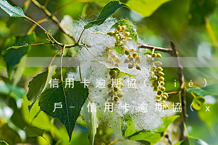 信用卡逾期協(xié)商還完多久可以銷戶-信用卡逾期協(xié)商還完多久可以銷戶啊