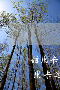 信用卡逾期協(xié)商還有利息嗎-信用卡逾期協(xié)商還有利息嗎怎么辦