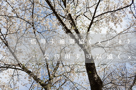 信用卡逾期協(xié)商還本金在哪里還-欠信用卡可以協(xié)商只還本金嗎