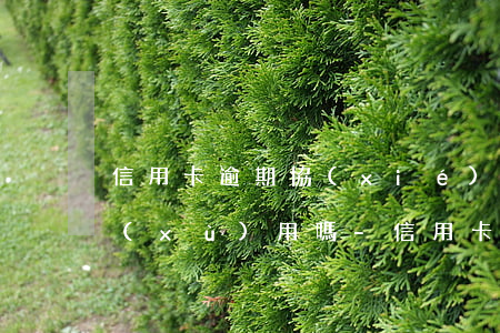 信用卡逾期協(xié)商還本金還能繼續(xù)用嗎-信用卡逾期協(xié)商還本金還能繼續(xù)用嗎