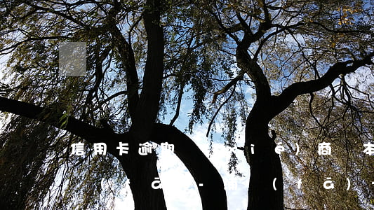 信用卡逾期協(xié)商還本金靠譜嗎浦發(fā)-浦發(fā)卡逾期后協(xié)商之前還的錢是算本金的嗎